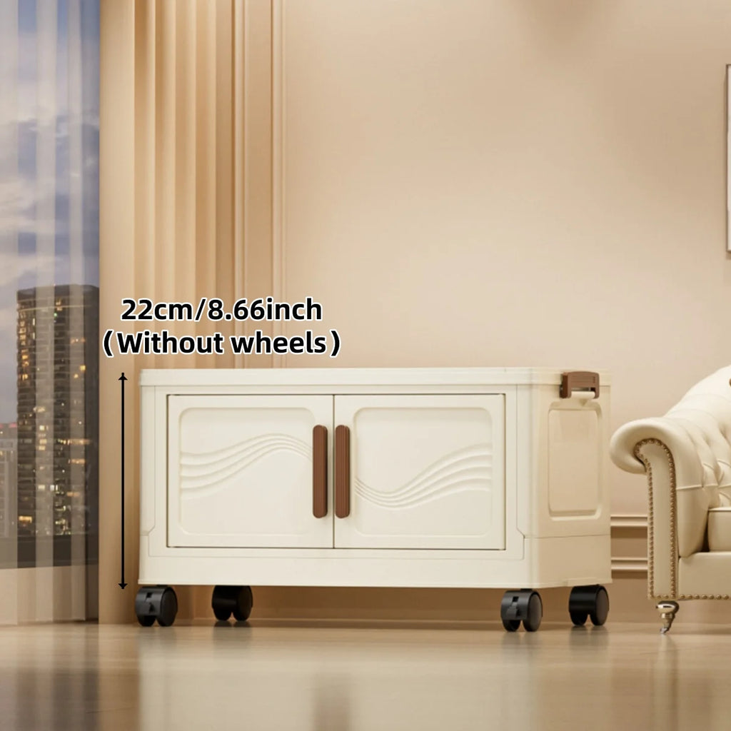 Foldable Storage Box with Clear Door